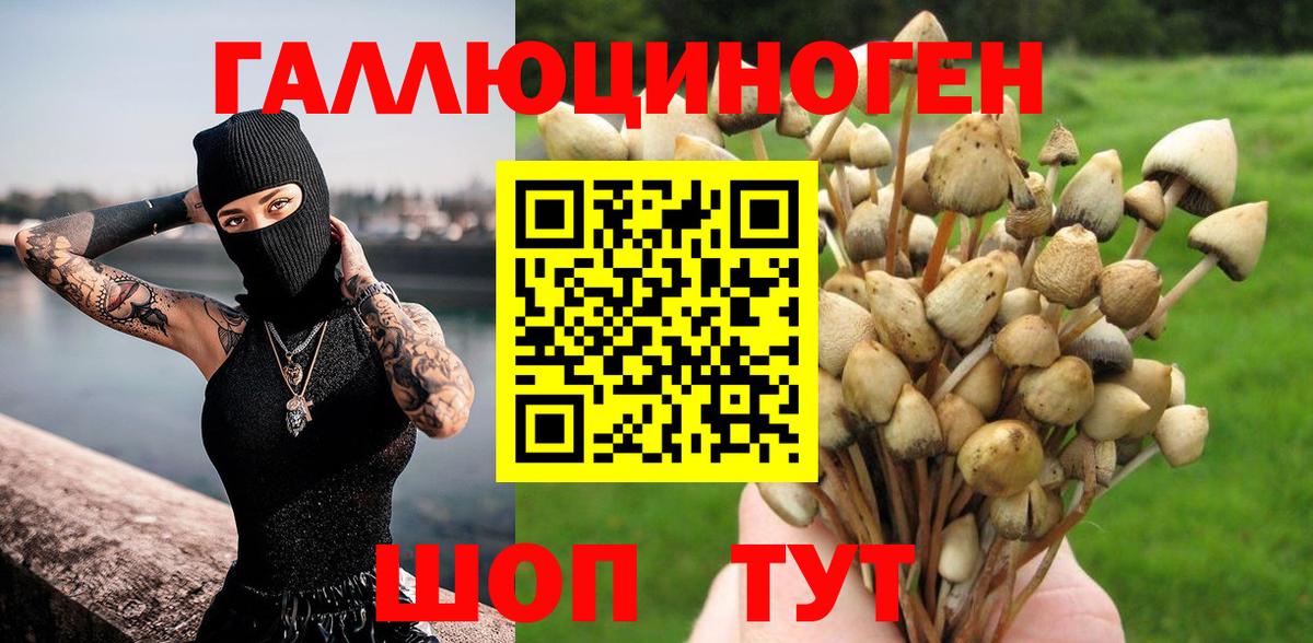 Галлюциногенные грибы Psilocybine cubensis  Псилоцибиновые грибы Psilocybine cubensis  Вход с VPN  Тобольск 